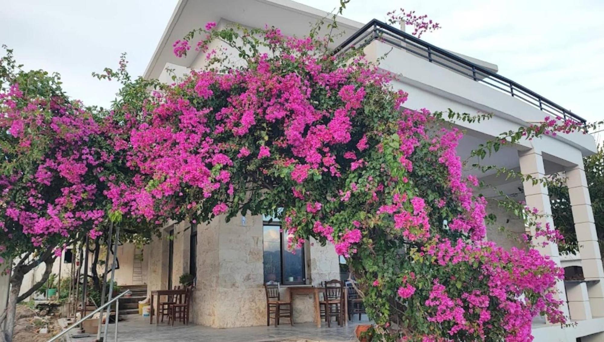 Glikanisos House Nipos - Ideal For Hikers And Families 2Bd, 6Pl 10Min To Beach Экстерьер фото